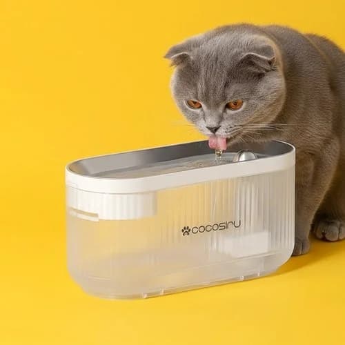 펫케어 강아지 고양이 정수기 무선 플로우 자동 급수기 음수대 - 고양이 급수기 제품 이미지, 테니스 뇌피셜