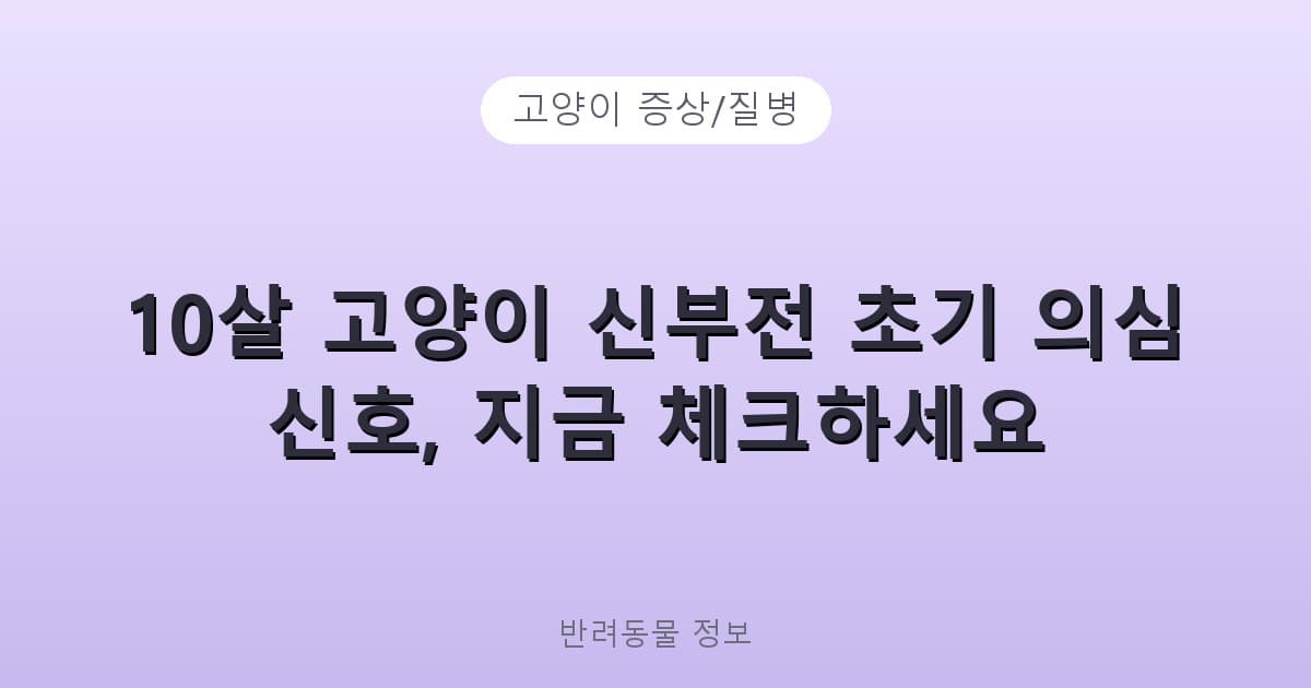 10살 고양이 신부전 초기 의심 신호, 지금 체크하세요 - 고양이 증상/질병 테니스 콘텐츠 이미지