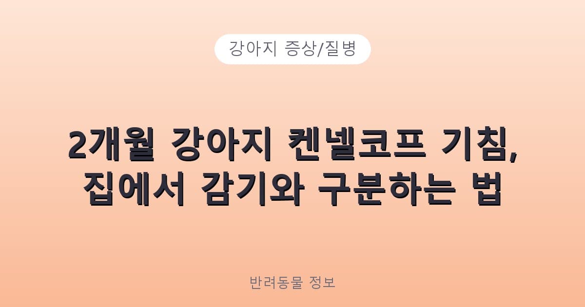 2개월 강아지 켄넬코프 기침, 집에서 감기와 구분하는 법 - 강아지 증상/질병 테니스 콘텐츠 이미지