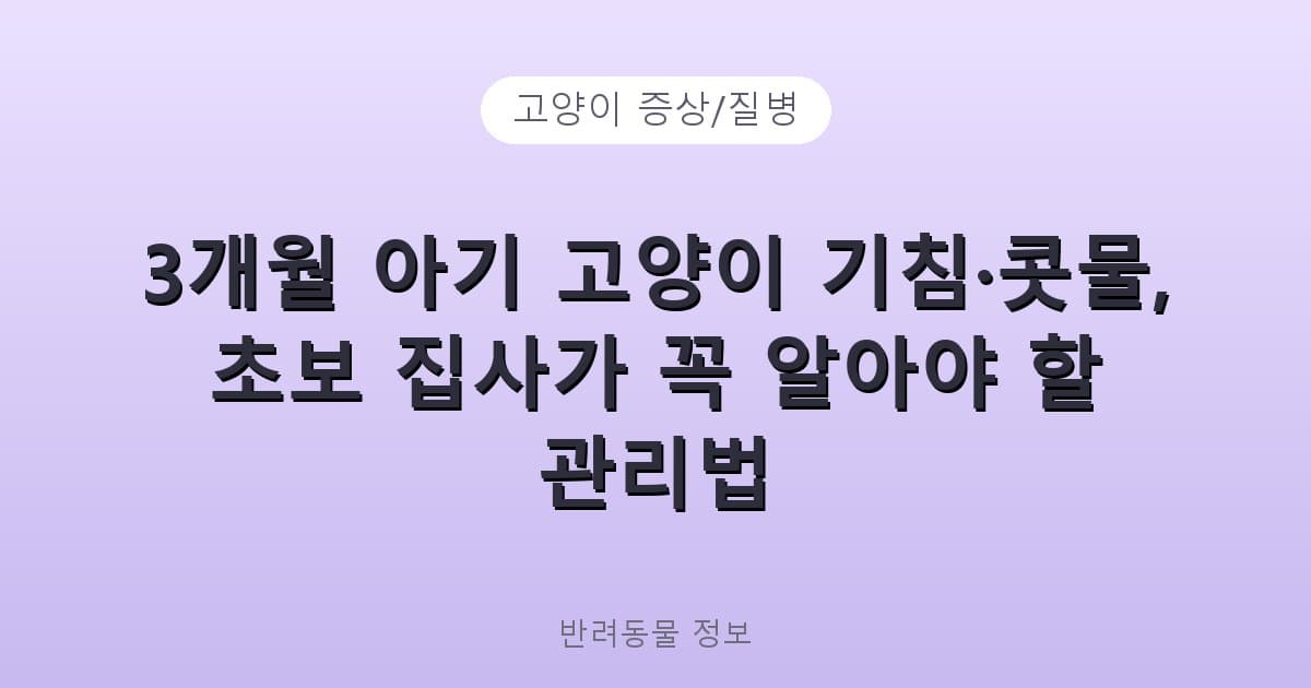 3개월 아기 고양이 기침·콧물, 초보 집사가 꼭 알아야 할 관리법 - 고양이 증상/질병 테니스 콘텐츠 이미지