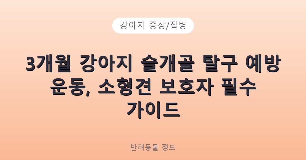 3개월 강아지 슬개골 탈구 예방 운동, 소형견 보호자 필수 가이드 - 강아지 증상/질병 테니스 콘텐츠 이미지