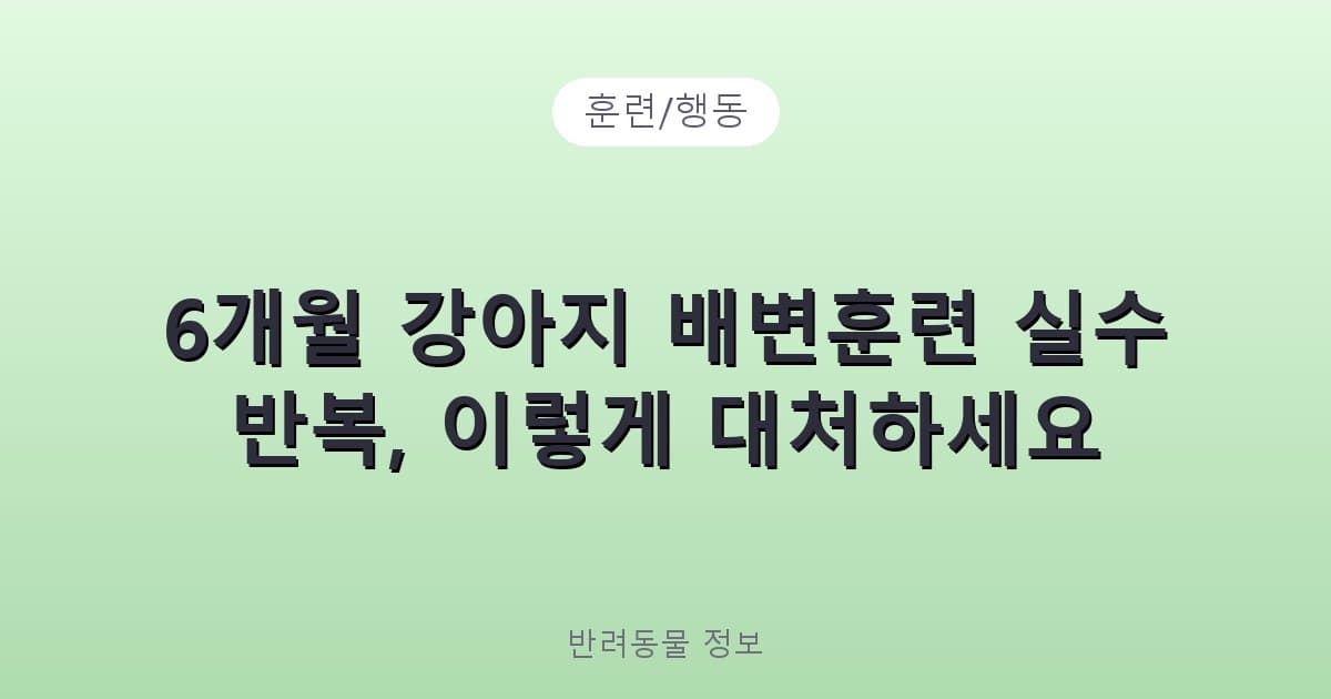 6개월 강아지 배변훈련 실수 반복, 이렇게 대처하세요 - 훈련/행동 테니스 콘텐츠 이미지