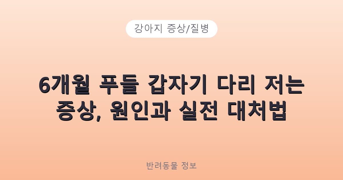 6개월 푸들 갑자기 다리 저는 증상, 원인과 실전 대처법 - 강아지 증상/질병 테니스 콘텐츠 이미지