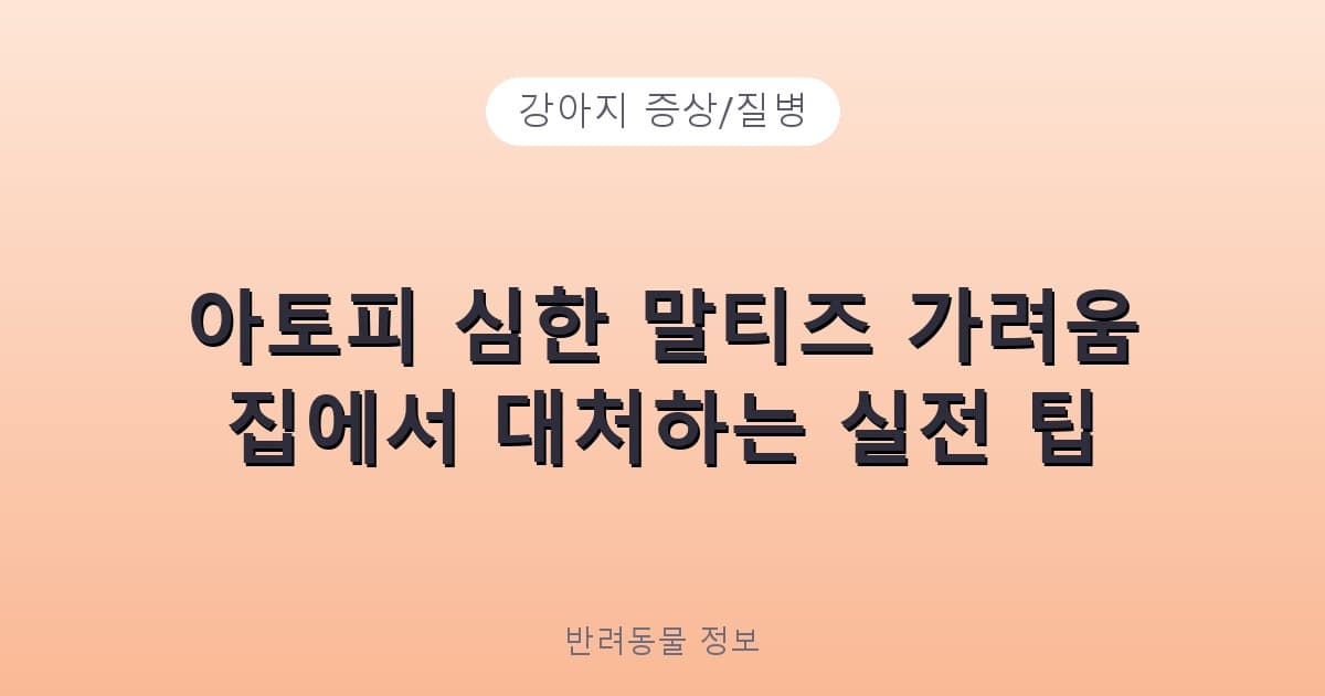 아토피 심한 말티즈 가려움 집에서 대처하는 실전 팁 - 강아지 증상/질병 테니스 콘텐츠 이미지