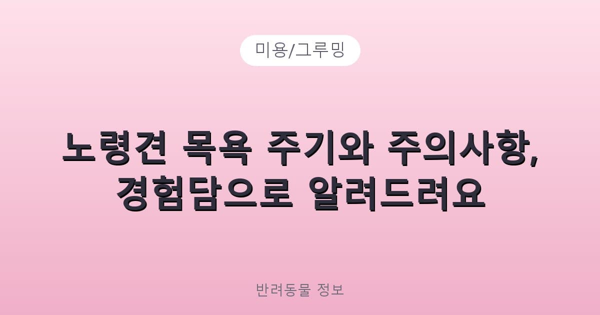 노령견 목욕 주기와 주의사항, 경험담으로 알려드려요 - 미용/그루밍 테니스 콘텐츠 이미지
