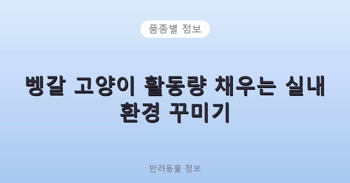 벵갈 고양이 활동량 채우는 실내 환경 꾸미기 - 품종별 정보 테니스 콘텐츠 이미지