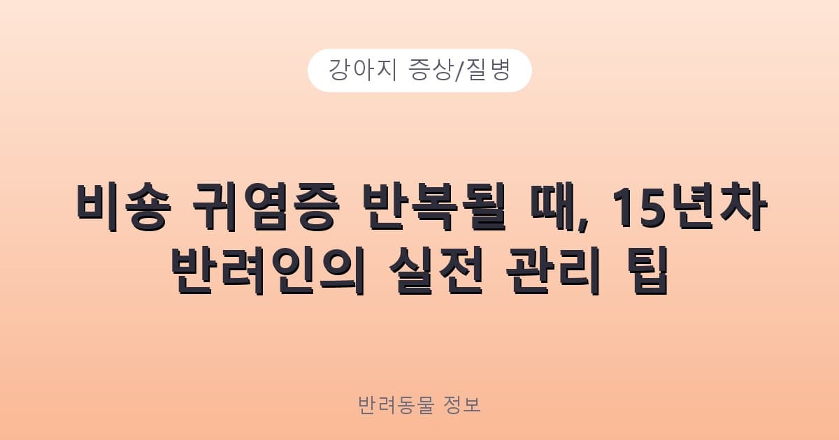 비숑 귀염증 반복될 때, 15년차 반려인의 실전 관리 팁 - 강아지 증상/질병 테니스 콘텐츠 이미지