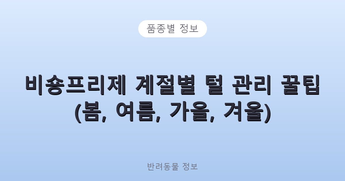비숑프리제 계절별 털 관리 꿀팁 (봄, 여름, 가을, 겨울) - 품종별 정보 테니스 콘텐츠 이미지