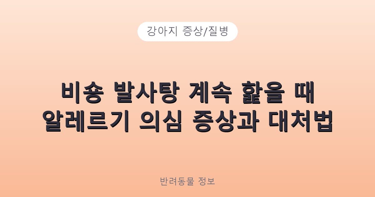 비숑 발사탕 계속 핥을 때 알레르기 의심 증상과 대처법 - 강아지 증상/질병 테니스 콘텐츠 이미지