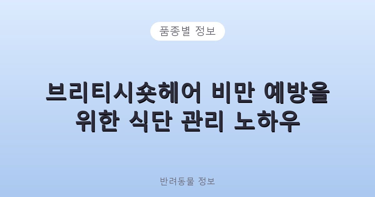 브리티시숏헤어 비만 예방을 위한 식단 관리 노하우 - 품종별 정보 테니스 콘텐츠 이미지