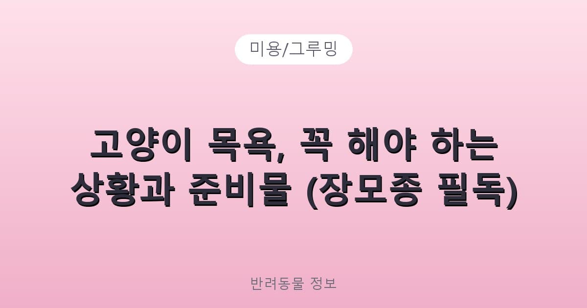 고양이 목욕, 꼭 해야 하는 상황과 준비물 (장모종 필독) - 미용/그루밍 제품 이미지, 테니스 뇌피셜