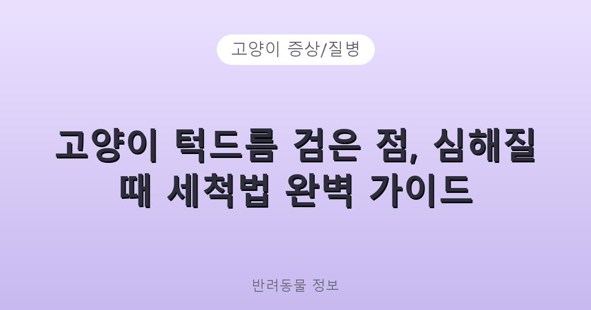 고양이 턱드름 검은 점, 심해질 때 세척법 완벽 가이드 - 고양이 증상/질병 테니스 콘텐츠 이미지