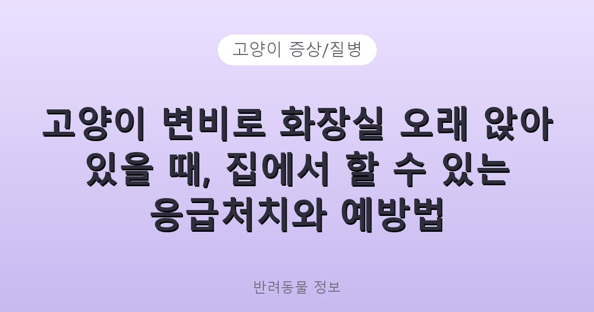 고양이 변비로 화장실 오래 앉아 있을 때, 집에서 할 수 있는 응급처치와 예방법 - 고양이 증상/질병 테니스 콘텐츠 이미지