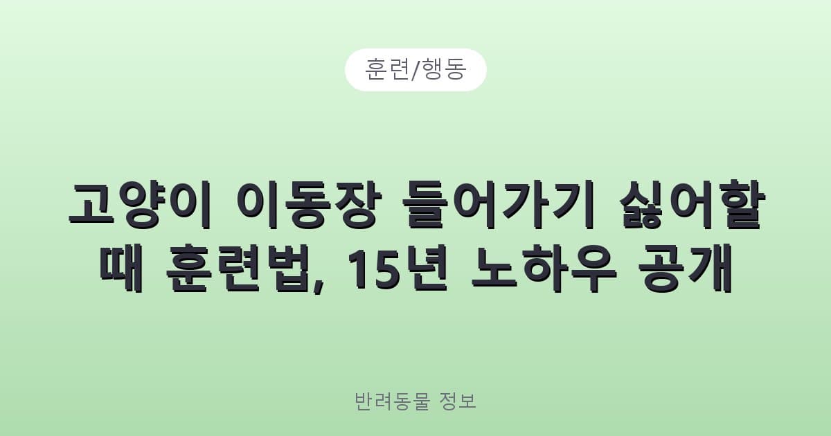 고양이 이동장 들어가기 싫어할 때 훈련법, 15년 노하우 공개 - 훈련/행동 테니스 콘텐츠 이미지