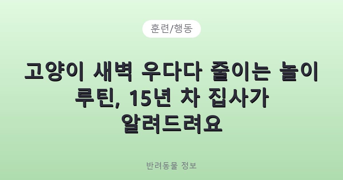 고양이 새벽 우다다 줄이는 놀이 루틴, 15년 차 집사가 알려드려요 - 훈련/행동 테니스 콘텐츠 이미지