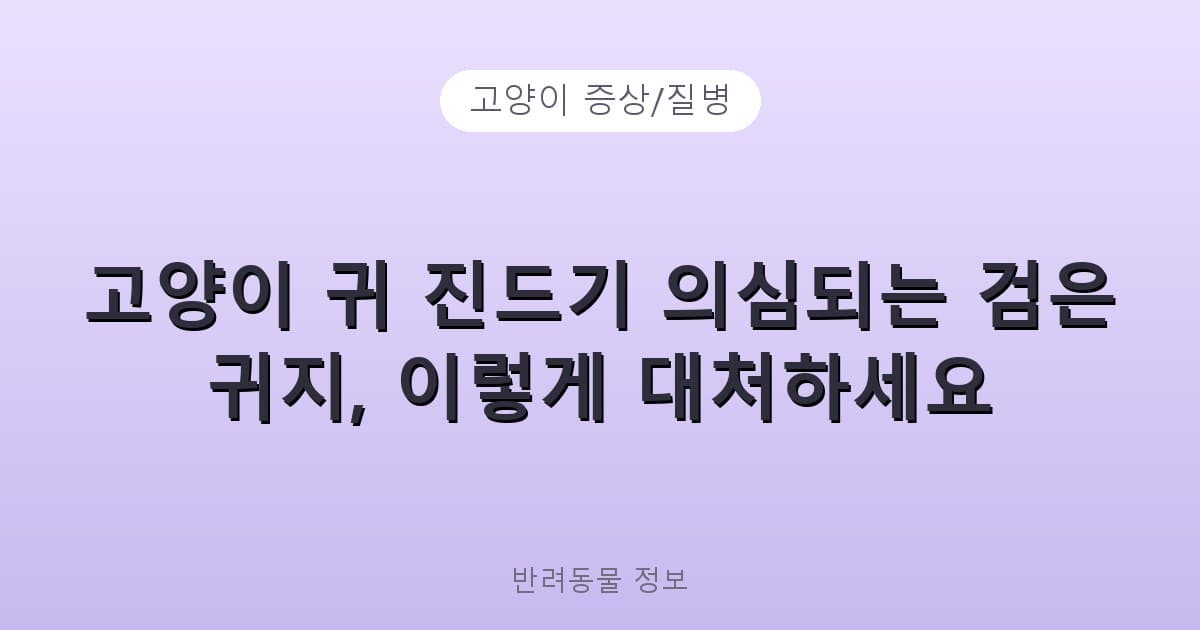 고양이 귀 진드기 의심되는 검은 귀지, 이렇게 대처하세요 - 고양이 증상/질병 테니스 콘텐츠 이미지