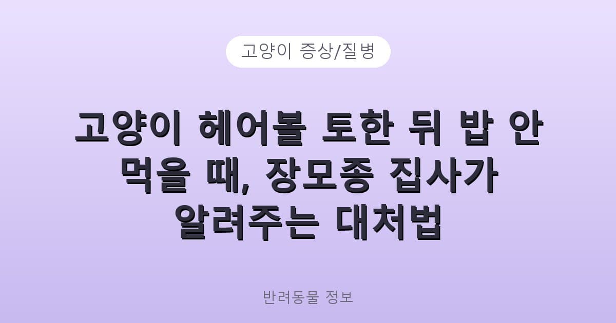고양이 헤어볼 토한 뒤 밥 안 먹을 때, 장모종 집사가 알려주는 대처법 - 고양이 증상/질병 테니스 콘텐츠 이미지