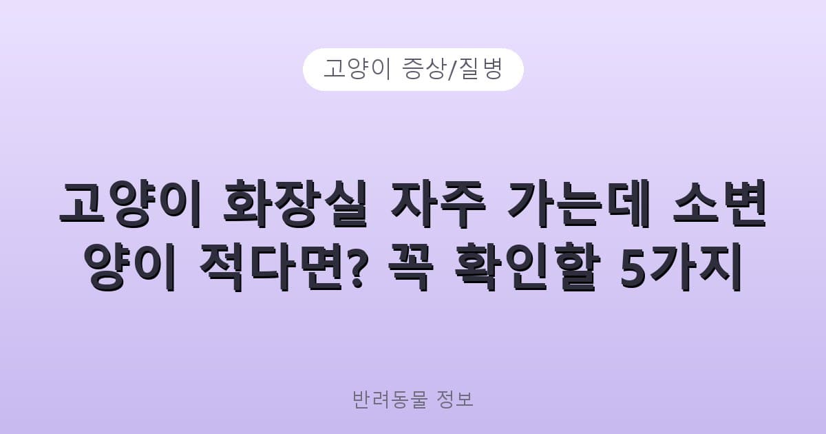 고양이 화장실 자주 가는데 소변 양이 적다면? 꼭 확인할 5가지 - 고양이 증상/질병 테니스 콘텐츠 이미지