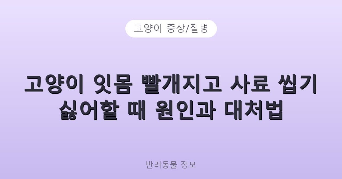 고양이 잇몸 빨개지고 사료 씹기 싫어할 때 원인과 대처법 - 고양이 증상/질병 테니스 콘텐츠 이미지