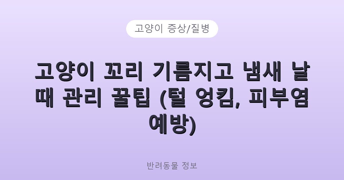 고양이 꼬리 기름지고 냄새 날 때 관리 꿀팁 (털 엉킴, 피부염 예방) - 고양이 증상/질병 테니스 콘텐츠 이미지