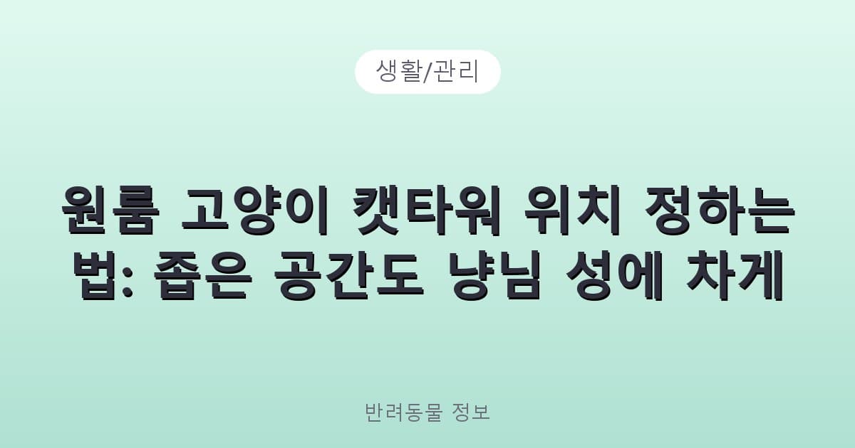 원룸 고양이 캣타워 위치 정하는 법: 좁은 공간도 냥님 성에 차게 - 생활/관리 제품 이미지, 테니스 뇌피셜
