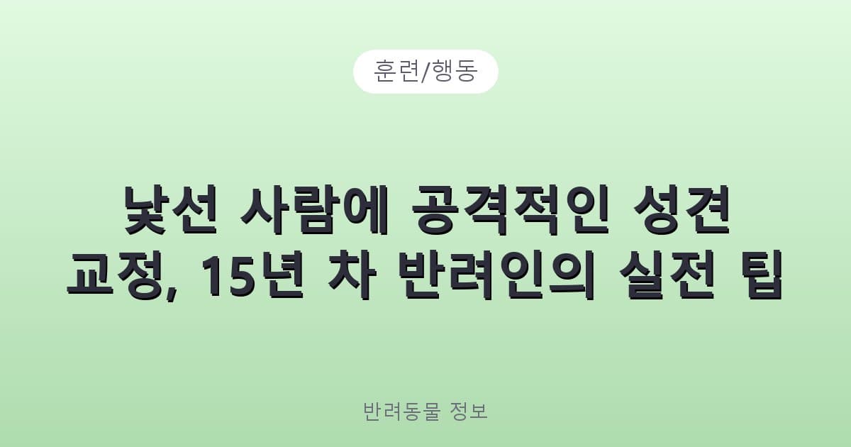 낯선 사람에 공격적인 성견 교정, 15년 차 반려인의 실전 팁 - 훈련/행동 테니스 콘텐츠 이미지