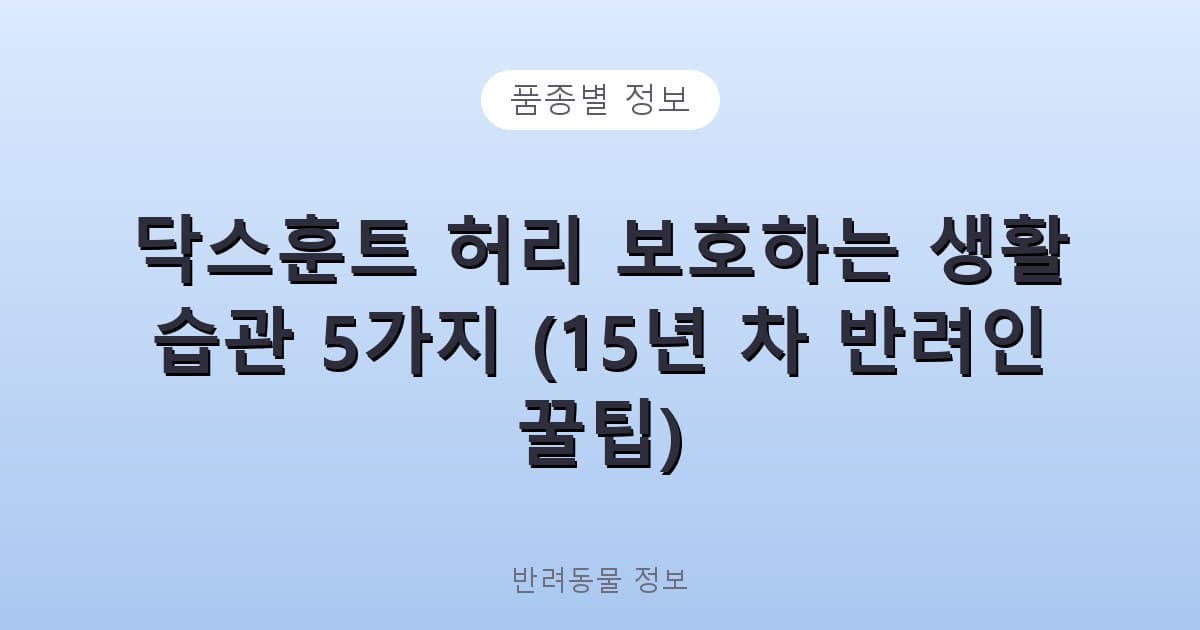 닥스훈트 허리 보호하는 생활 습관 5가지 (15년 차 반려인 꿀팁) - 품종별 정보 테니스 콘텐츠 이미지