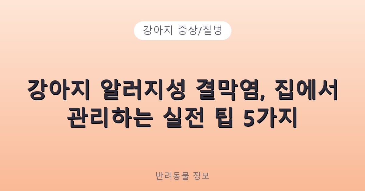 강아지 알러지성 결막염, 집에서 관리하는 실전 팁 5가지 - 강아지 증상/질병 테니스 콘텐츠 이미지