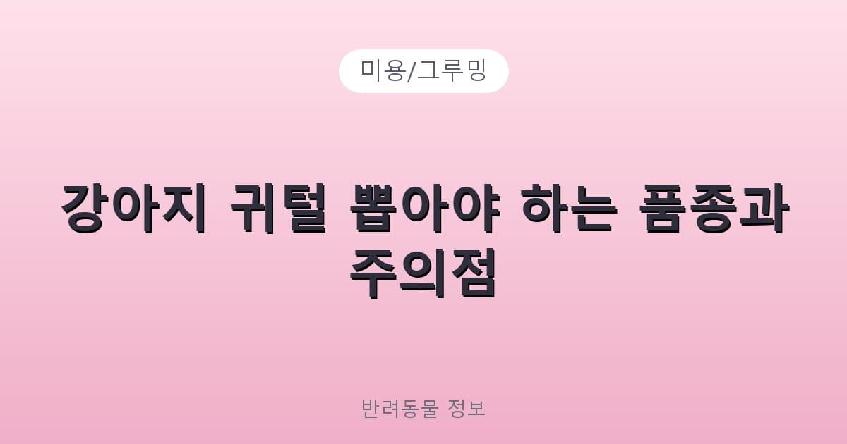 강아지 귀털 뽑아야 하는 품종과 주의점 - 미용/그루밍 제품 이미지, 테니스 뇌피셜