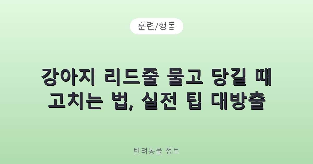 강아지 리드줄 물고 당길 때 고치는 법, 실전 팁 대방출 - 훈련/행동 테니스 콘텐츠 이미지