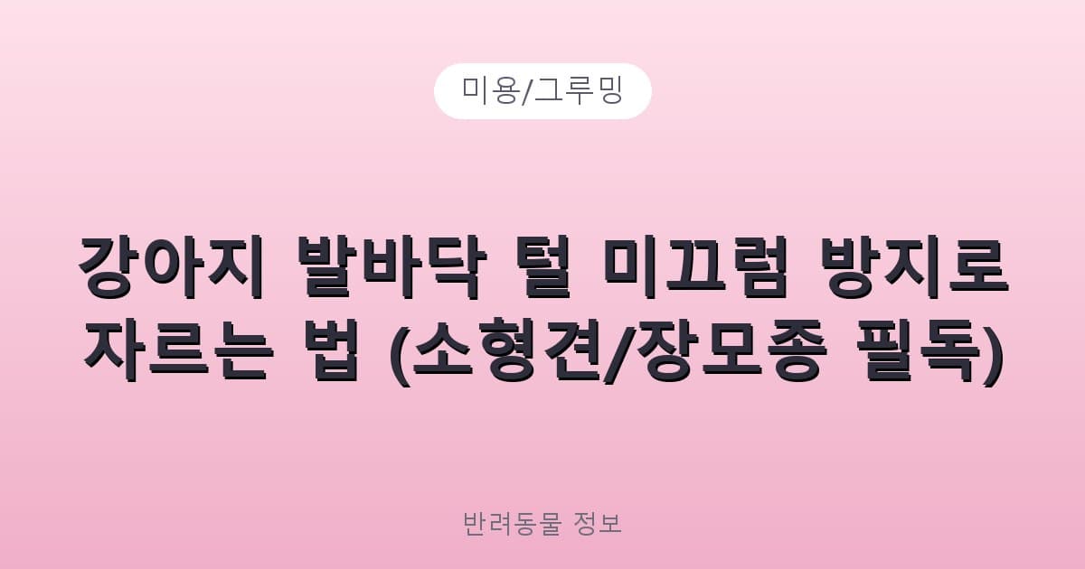 강아지 발바닥 털 미끄럼 방지로 자르는 법 (소형견/장모종 필독) - 미용/그루밍 관련 콘텐츠