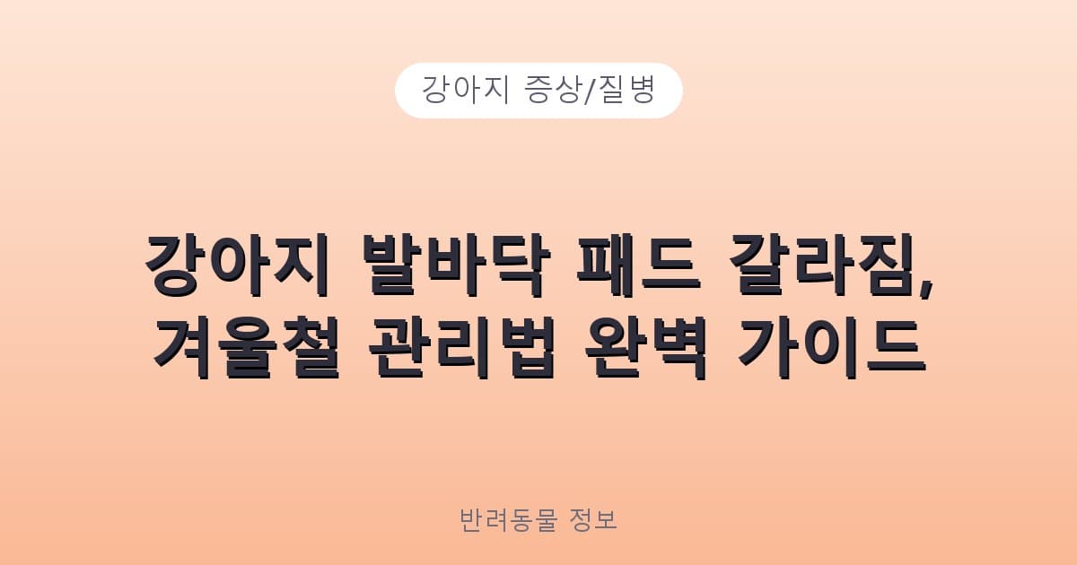 강아지 발바닥 패드 갈라짐, 겨울철 관리법 완벽 가이드 - 강아지 증상/질병 테니스 콘텐츠 이미지