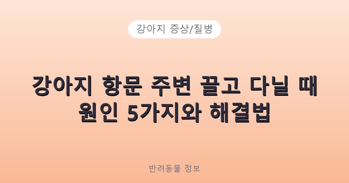 강아지 항문 주변 끌고 다닐 때 원인 5가지와 해결법 - 강아지 증상/질병 테니스 콘텐츠 이미지