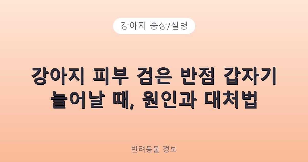 강아지 피부 검은 반점 갑자기 늘어날 때, 원인과 대처법 - 강아지 증상/질병 테니스 콘텐츠 이미지
