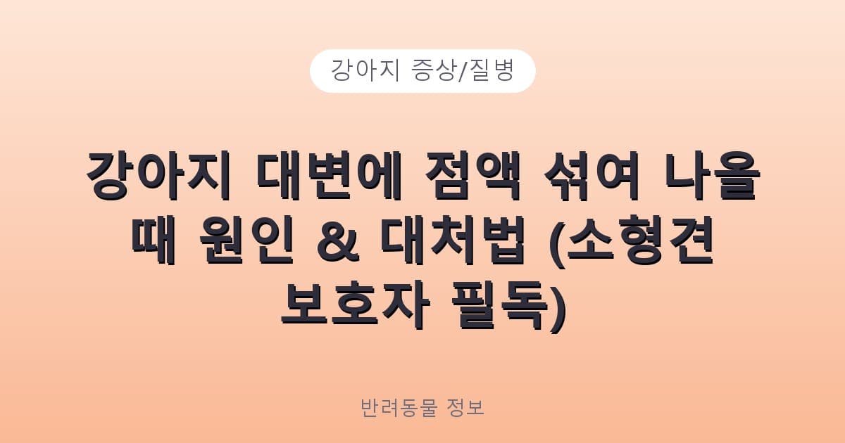 강아지 대변에 점액 섞여 나올 때 원인 & 대처법 (소형견 보호자 필독) - 강아지 증상/질병 테니스 콘텐츠 이미지