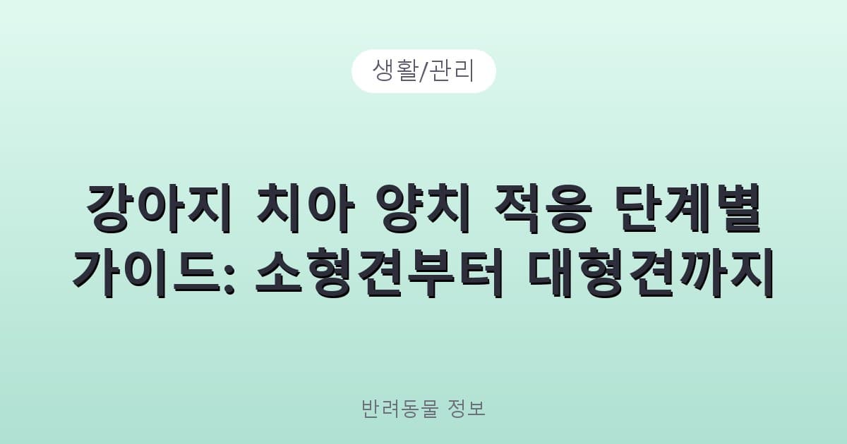 강아지 치아 양치 적응 단계별 가이드: 소형견부터 대형견까지 - 생활/관리 테니스 콘텐츠 이미지