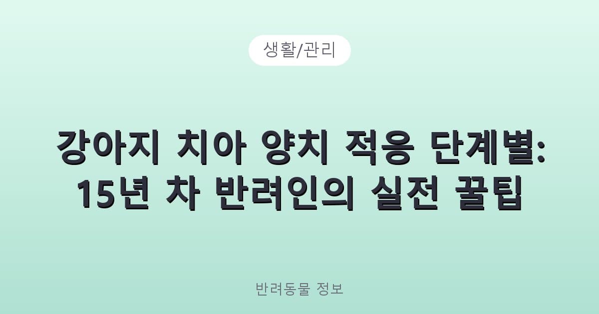 강아지 치아 양치 적응 단계별: 15년 차 반려인의 실전 꿀팁 - 생활/관리 테니스 콘텐츠 이미지
