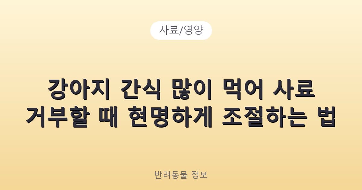 강아지 간식 많이 먹어 사료 거부할 때 현명하게 조절하는 법 - 사료/영양 테니스 콘텐츠 이미지