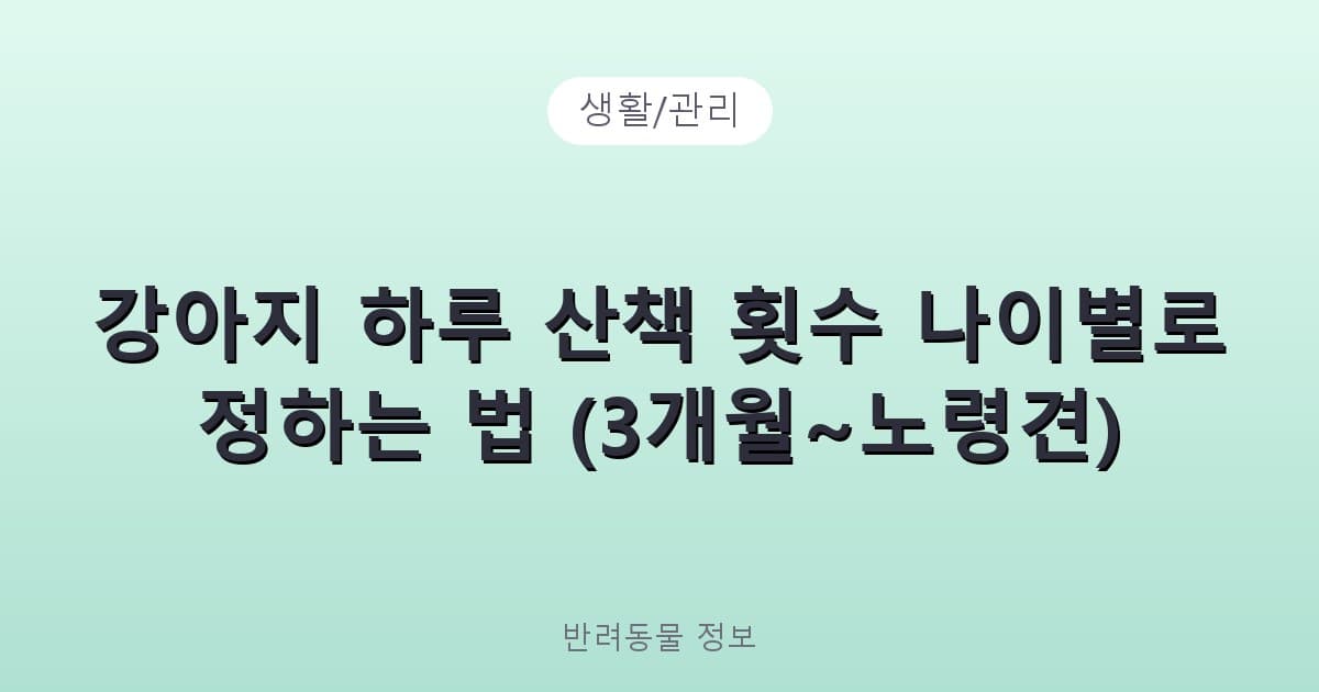 강아지 하루 산책 횟수 나이별로 정하는 법 (3개월~노령견) - 생활/관리 관련 콘텐츠