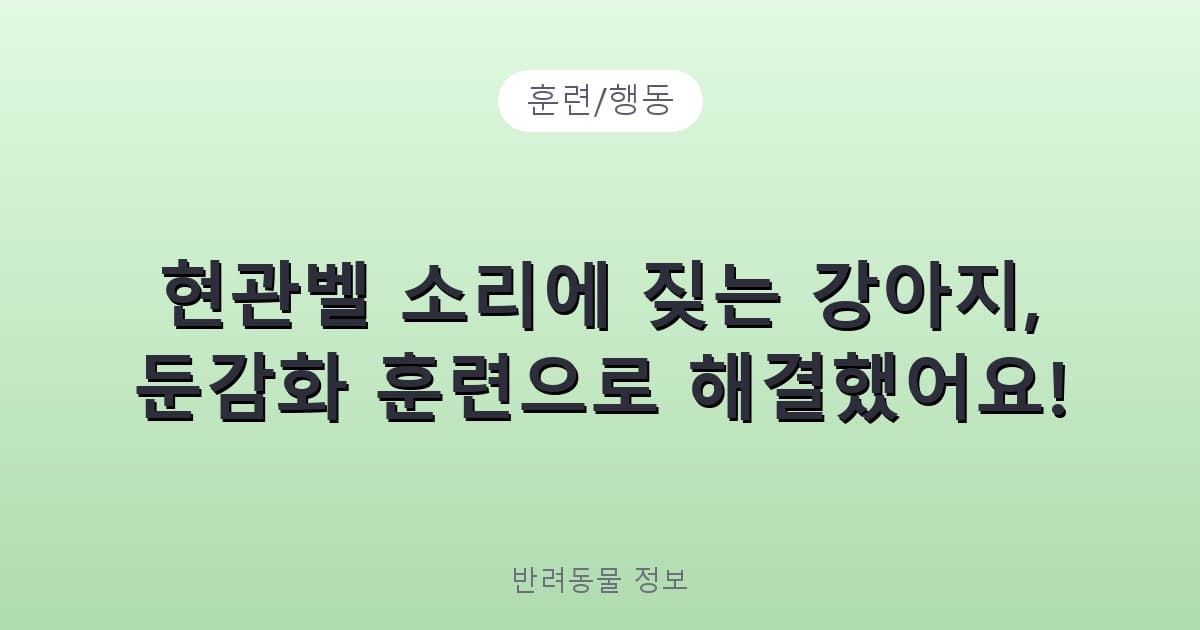 현관벨 소리에 짖는 강아지, 둔감화 훈련으로 해결했어요! - 훈련/행동 테니스 콘텐츠 이미지