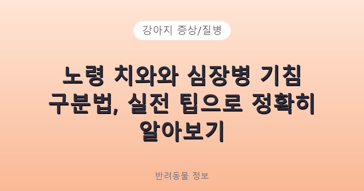 노령 치와와 심장병 기침 구분법, 실전 팁으로 정확히 알아보기 - 강아지 증상/질병 테니스 콘텐츠 이미지