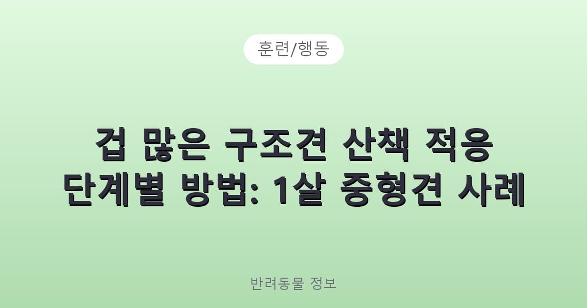 겁 많은 구조견 산책 적응 단계별 방법: 1살 중형견 사례 - 훈련/행동 테니스 콘텐츠 이미지