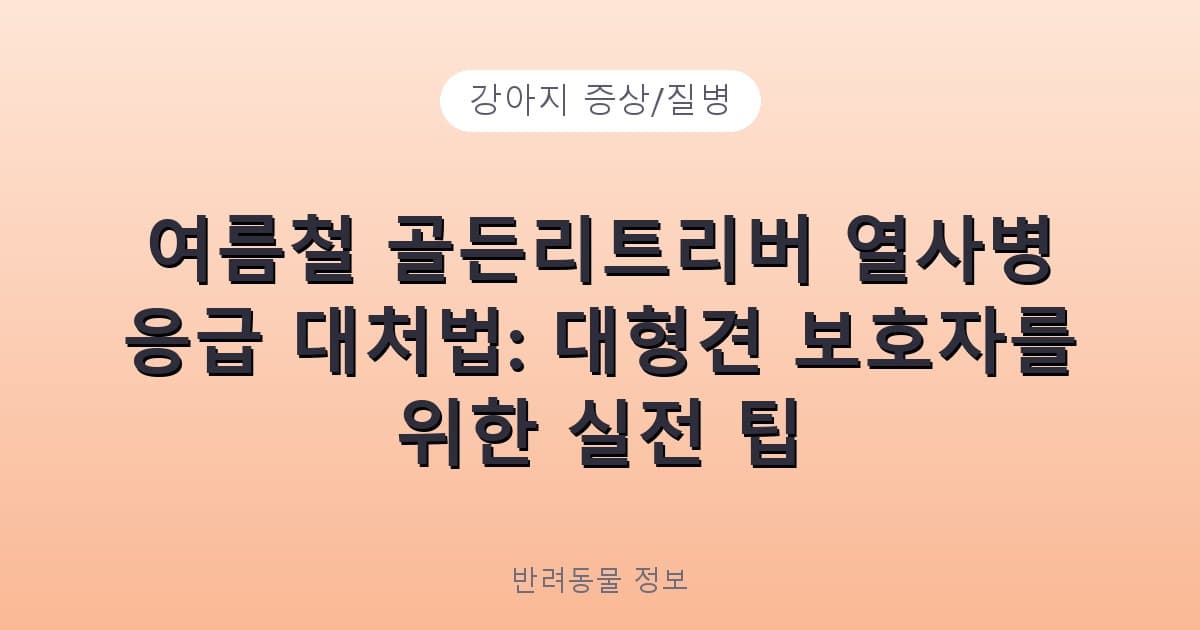 여름철 골든리트리버 열사병 응급 대처법: 대형견 보호자를 위한 실전 팁 - 강아지 증상/질병 테니스 콘텐츠 이미지