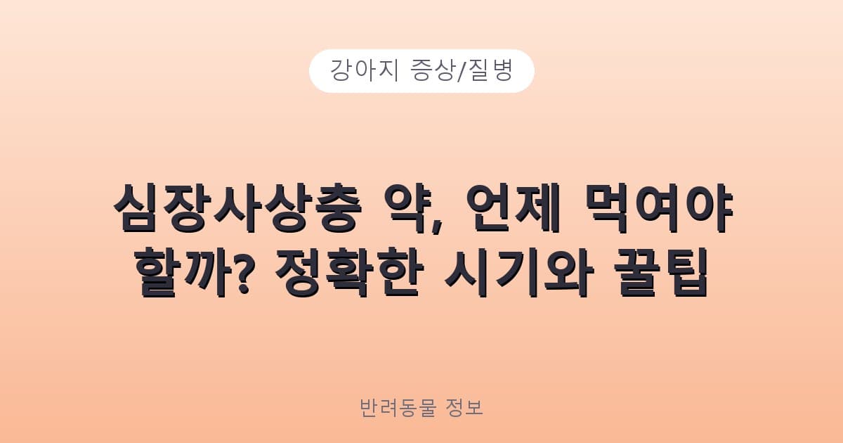 심장사상충 약, 언제 먹여야 할까? 정확한 시기와 꿀팁 - 강아지 증상/질병 테니스 콘텐츠 이미지