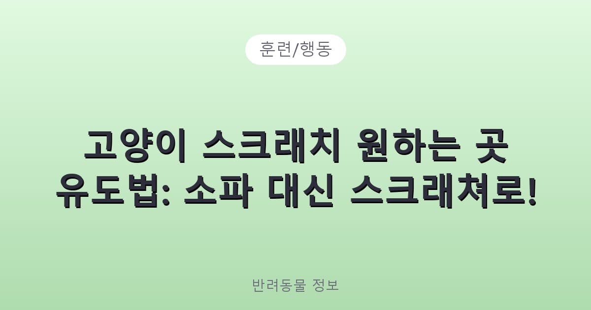 고양이 스크래치 원하는 곳 유도법: 소파 대신 스크래쳐로! - 훈련/행동 테니스 콘텐츠 이미지