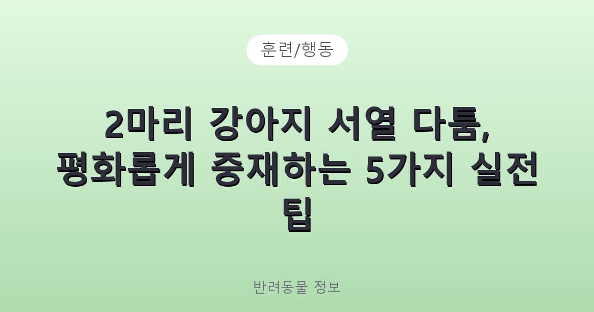 2마리 강아지 서열 다툼, 평화롭게 중재하는 5가지 실전 팁 - 훈련/행동 테니스 콘텐츠 이미지