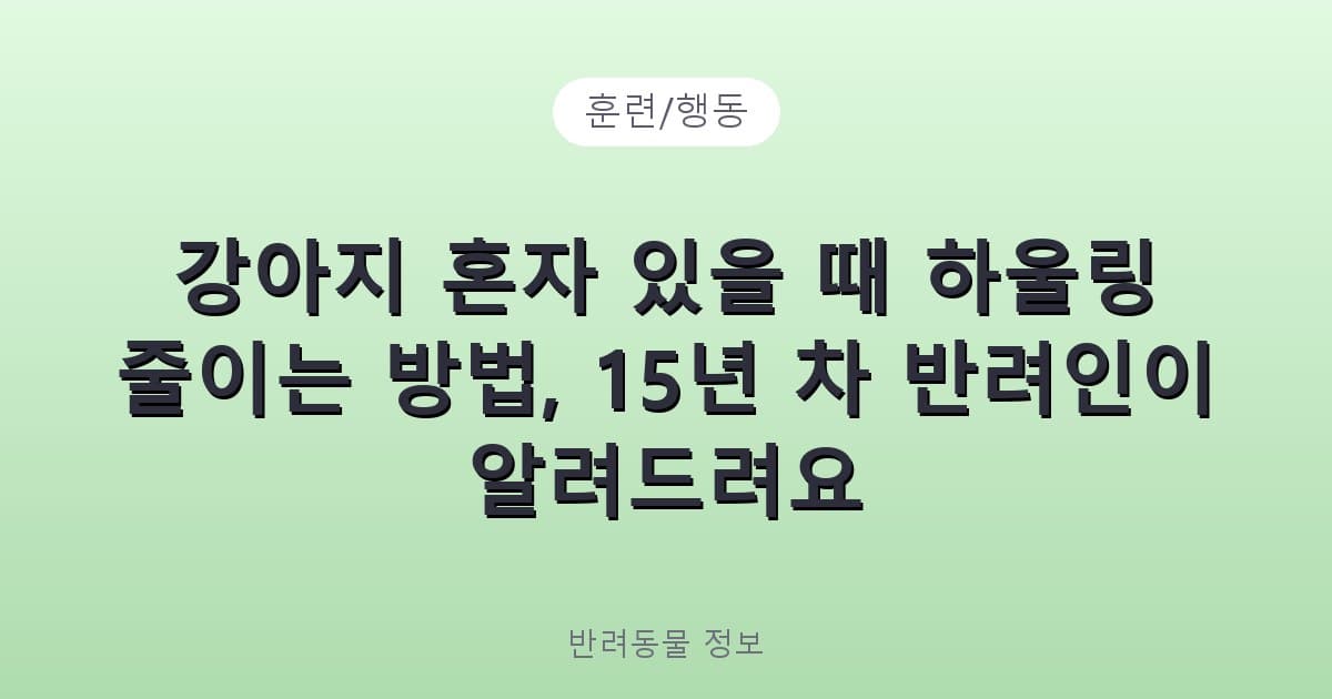 강아지 혼자 있을 때 하울링 줄이는 방법, 15년 차 반려인이 알려드려요 - 훈련/행동 테니스 콘텐츠 이미지
