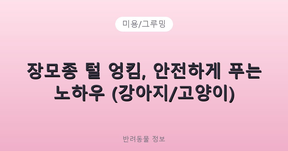 장모종 털 엉킴, 안전하게 푸는 노하우 (강아지/고양이) - 미용/그루밍 테니스 콘텐츠 이미지