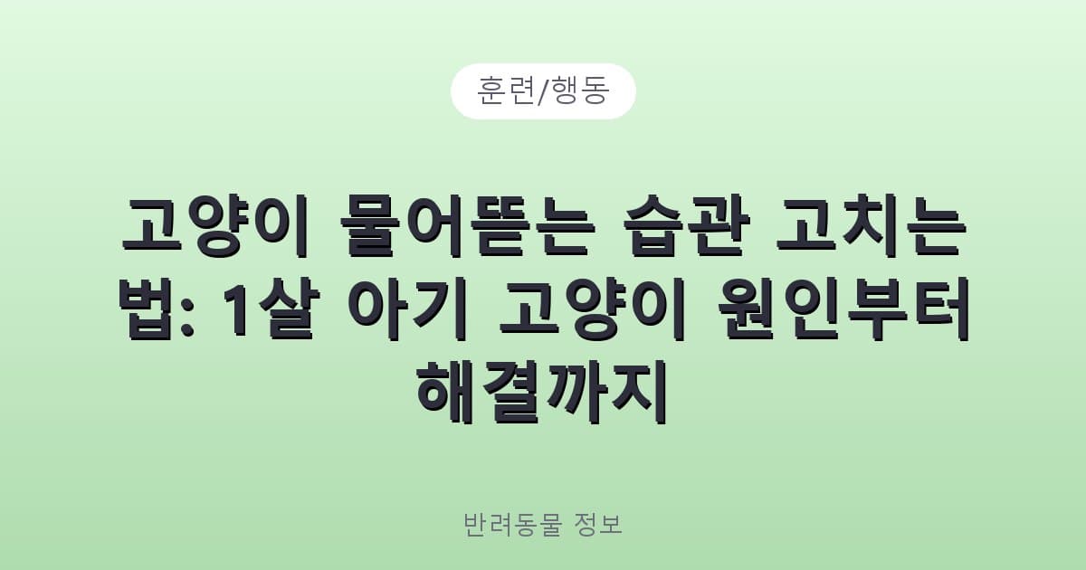 고양이 물어뜯는 습관 고치는 법: 1살 아기 고양이 원인부터 해결까지 - 훈련/행동 테니스 콘텐츠 이미지