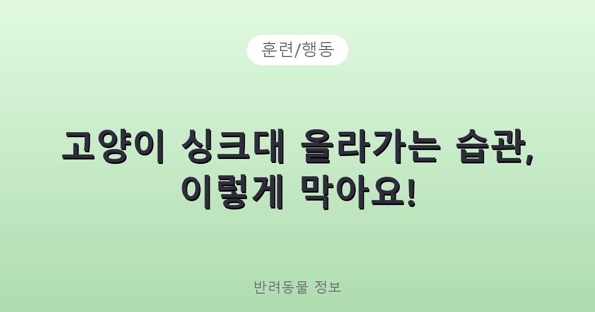 고양이 싱크대 올라가는 습관, 이렇게 막아요! - 훈련/행동 테니스 콘텐츠 이미지